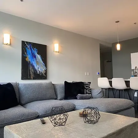 Luxury Kc Midtown Loft! 2 Beds 2 Full Baths! Apartment
